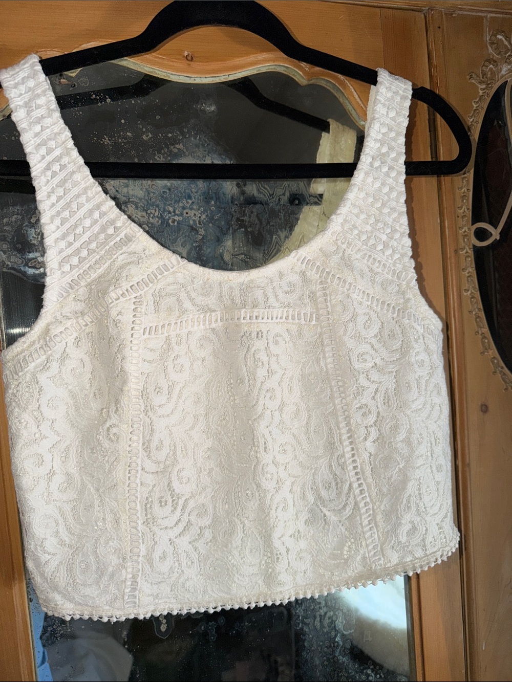 Zara White Lace Crochet Crop Top